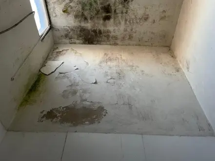 image10